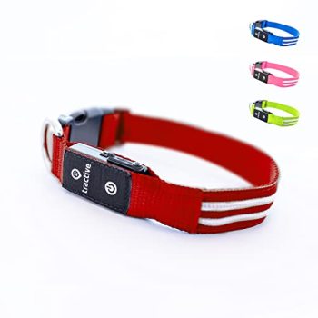 Tractive Collar luminoso para perros, Carga USB, Impermeable, collar LED (M, rojo)