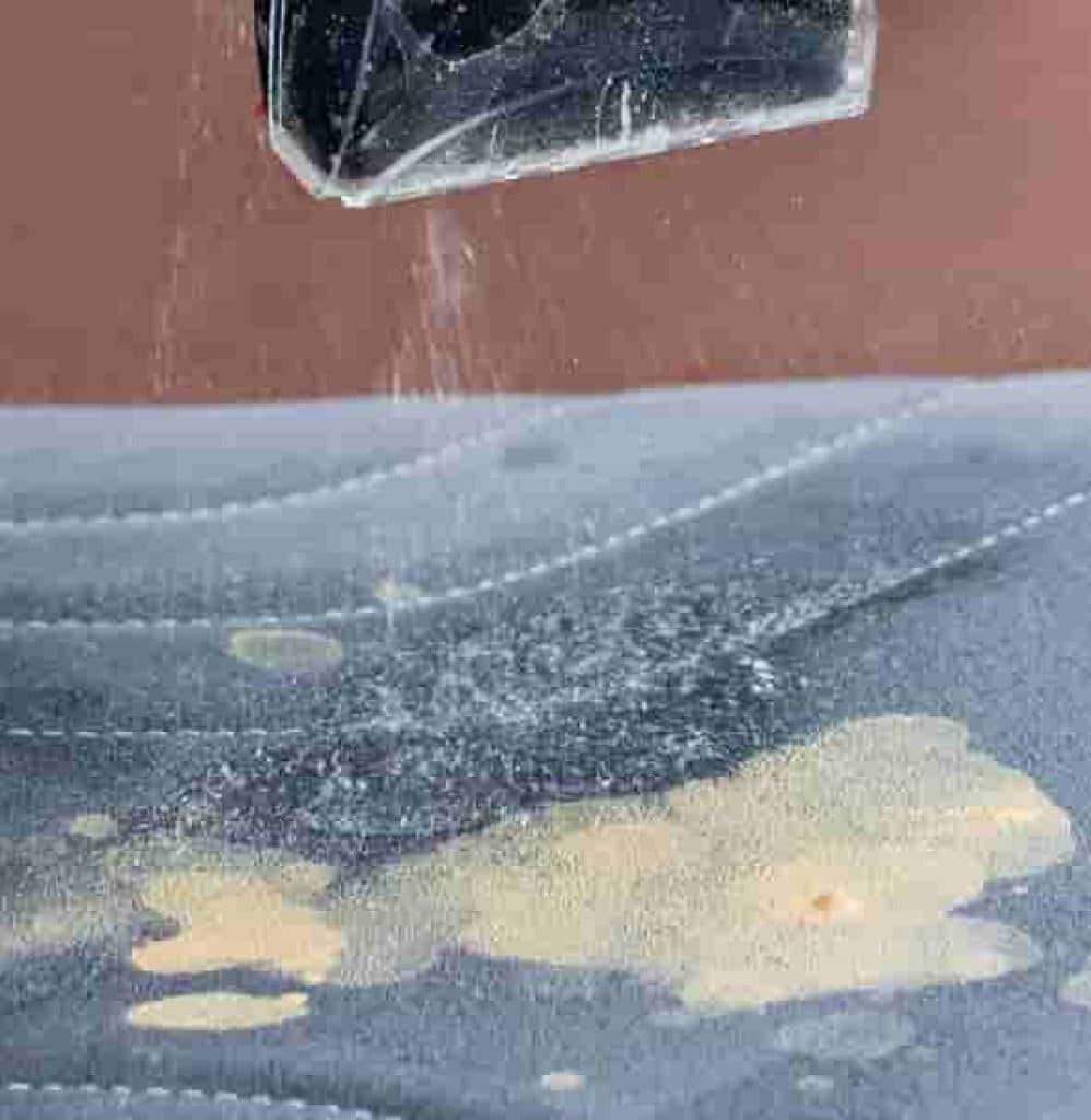 El BISSELL SpotClean C3 Quitamanchas para Alfombras y Tapicería es lo que necesitas en tu casa