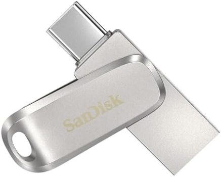 SanDisk 256 GB
