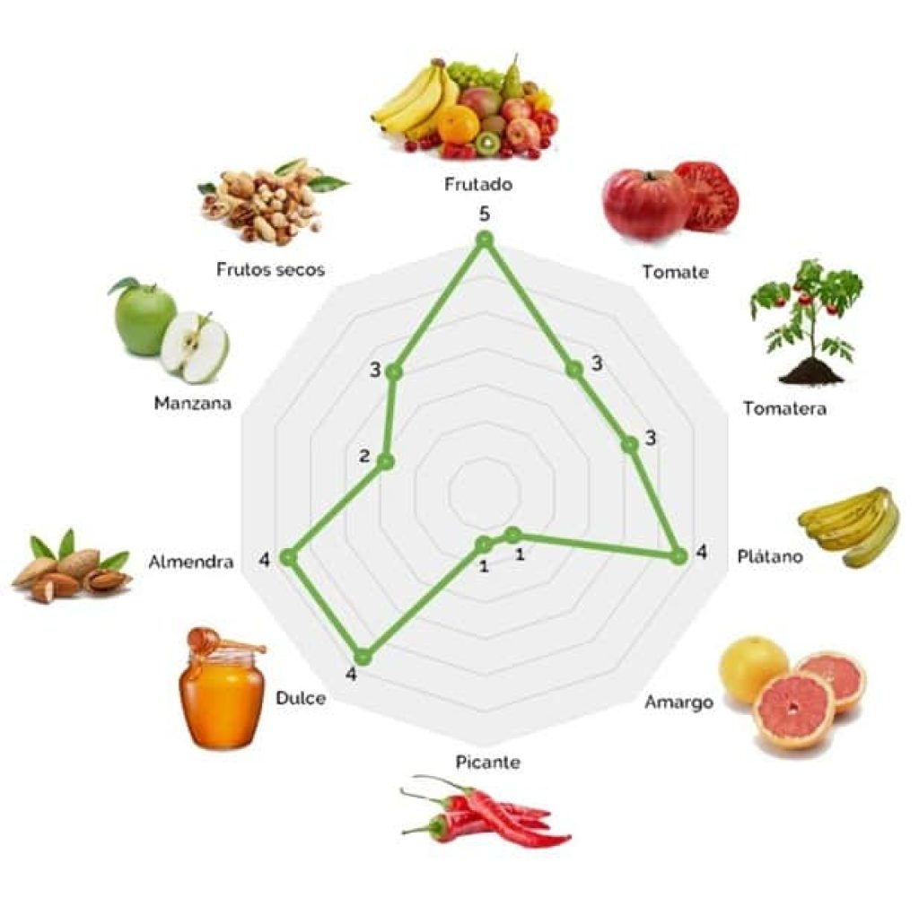 Aceite de Oliva Virgen Extra 5 Litros Cortijo La Muralla