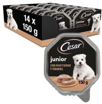 Cesar Comida Húmeda en gelatina para Perros Cachorros Sabor Pavo y Ternera (Pack de 14 Tarrinas x 150g)
