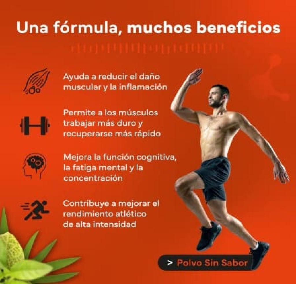 Creatina Monohidratada en Polvo 500g, para mejorar el rendimiento físico – 100% Vegana y Sin Gluten – Creatina en Polvo - Sevens