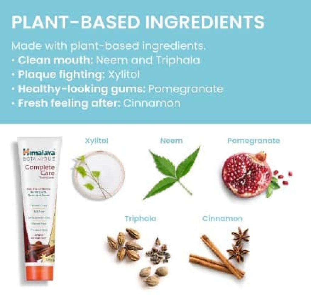 Pasta de dientes Himalaya Botanique Complete Care con canela y menta naturales | Fórmula sin flúor ni SLS que combate las bacterias y las caries - 150 g (Pack 2)