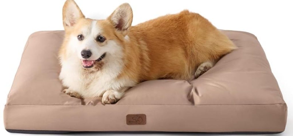 Bedsure Cama Perro Impermeable Mediano - 76x50x10 cm Colchón Perro Lavable, Cojín Perro Antipelo y Suave, M - chollos amazon