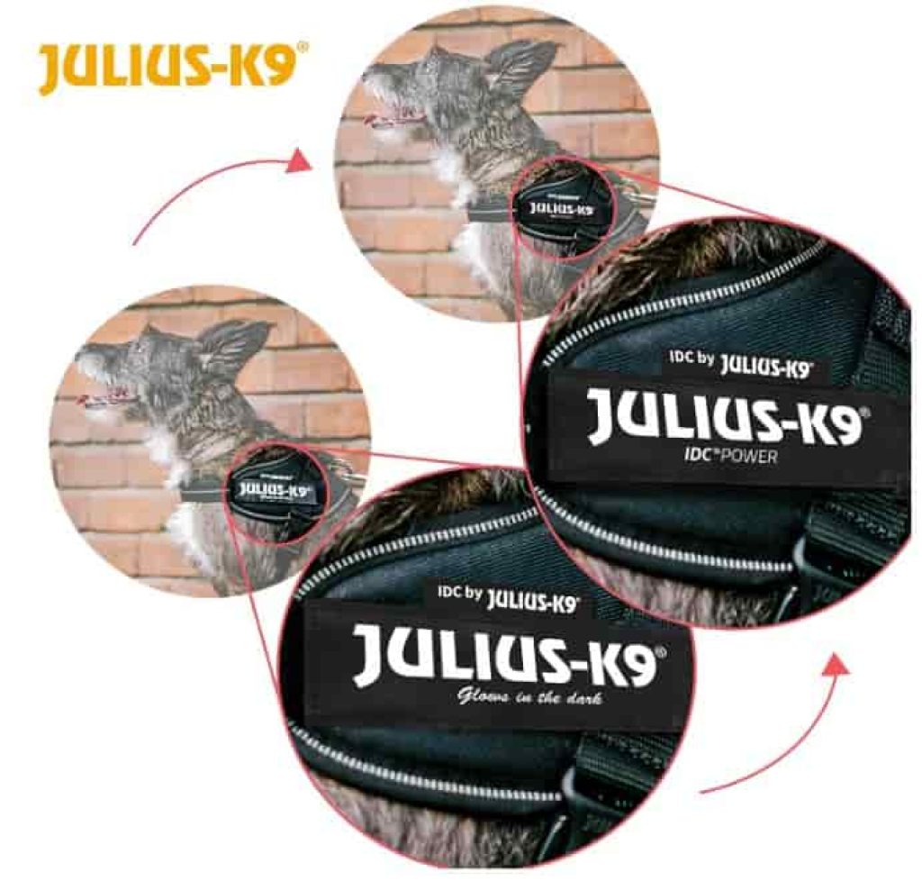 Julius-K9, Arnés IDC Power, Tamaño: S / Mini, Vaqueros - Arnés para perros pequeños