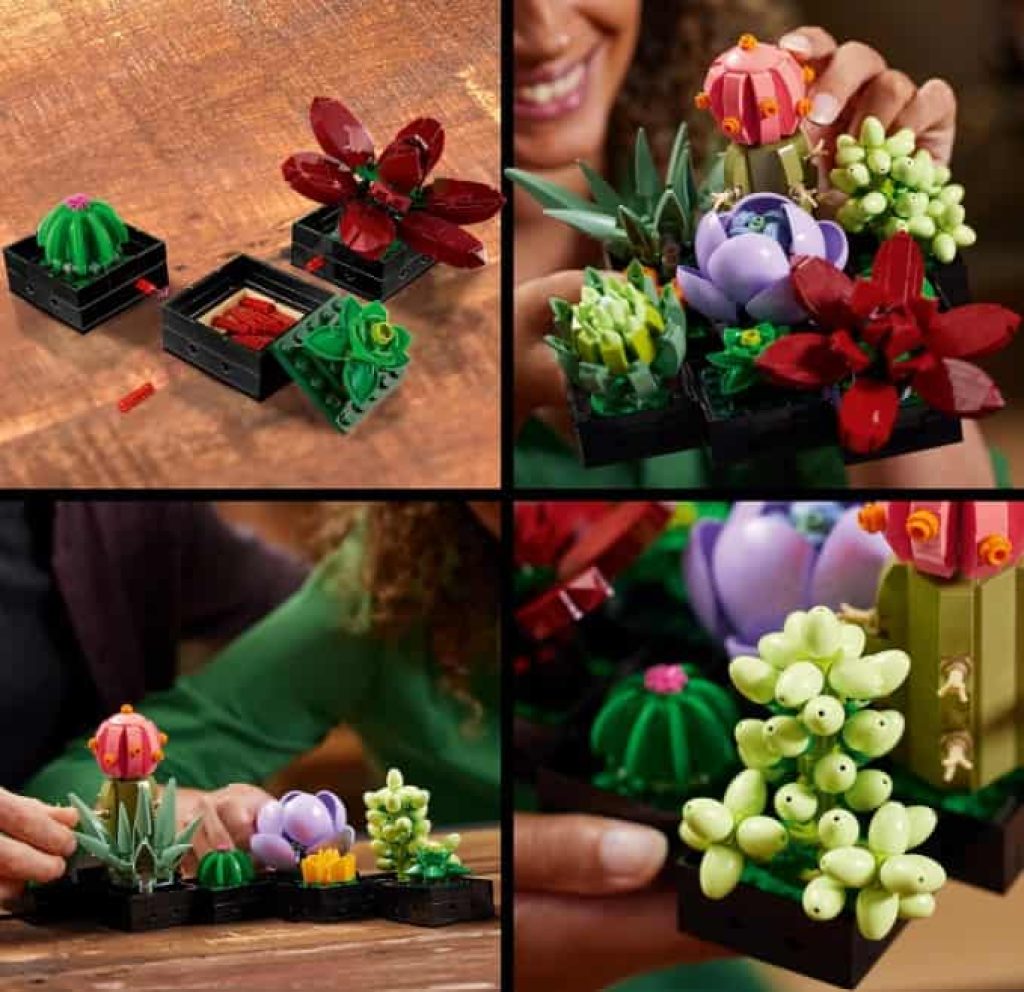 LEGO Icons Suculentas, Maqueta de Plantas Artificiales para Construir, Manualidades para Adultos, Colección Botanical, Kit de Ramo de Flores, Regalo para Mujeres y Hombres 10309