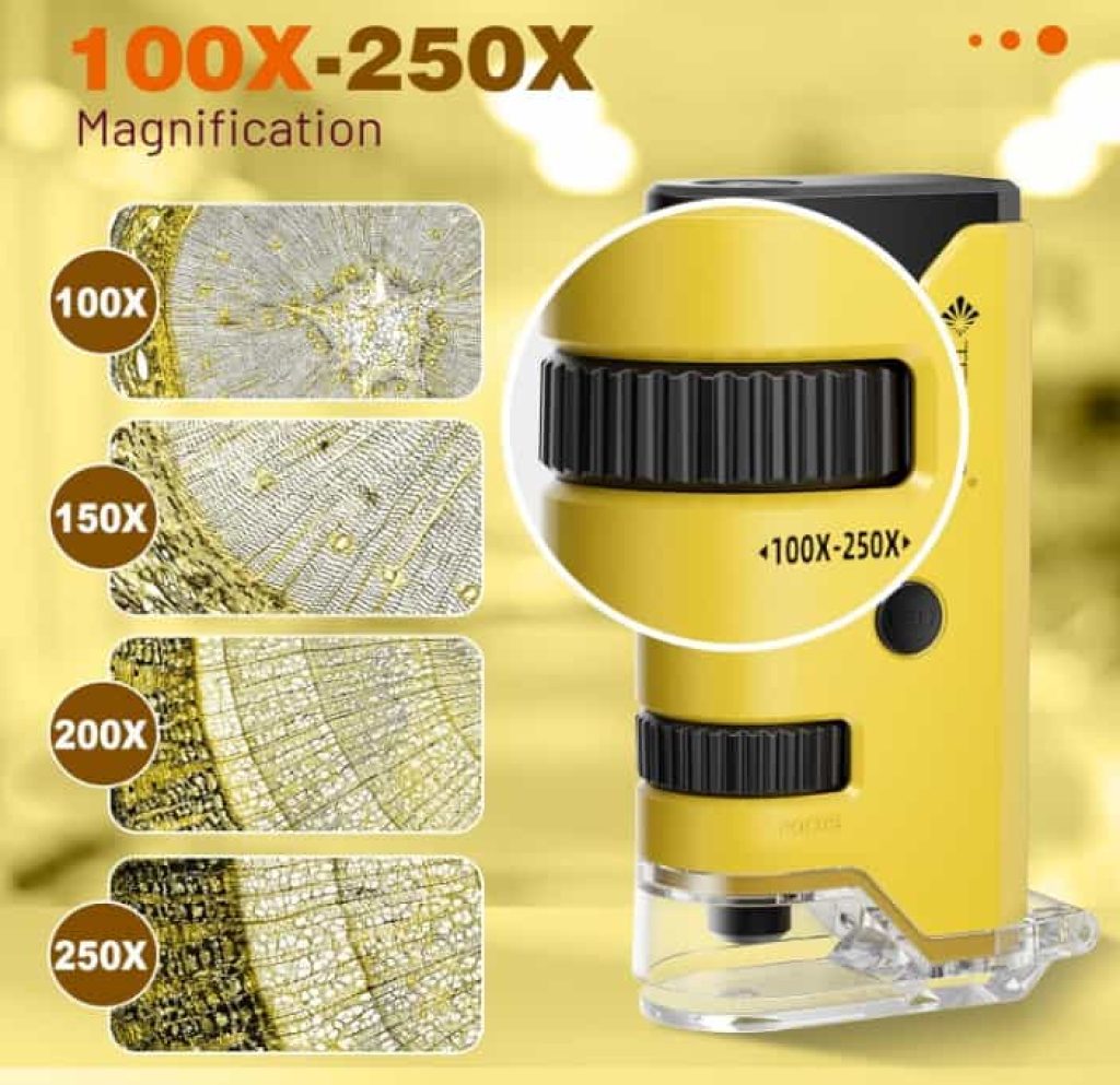 100x-250x Mini Microscopio de Bolsillo para Niños Adultos, Microscopio de Mano Protable con 5 Portaobjetos, Adaptador de Teléfono, Kit de Portátil Miniscope para Niños Adultos Laboratorio, Amarillo