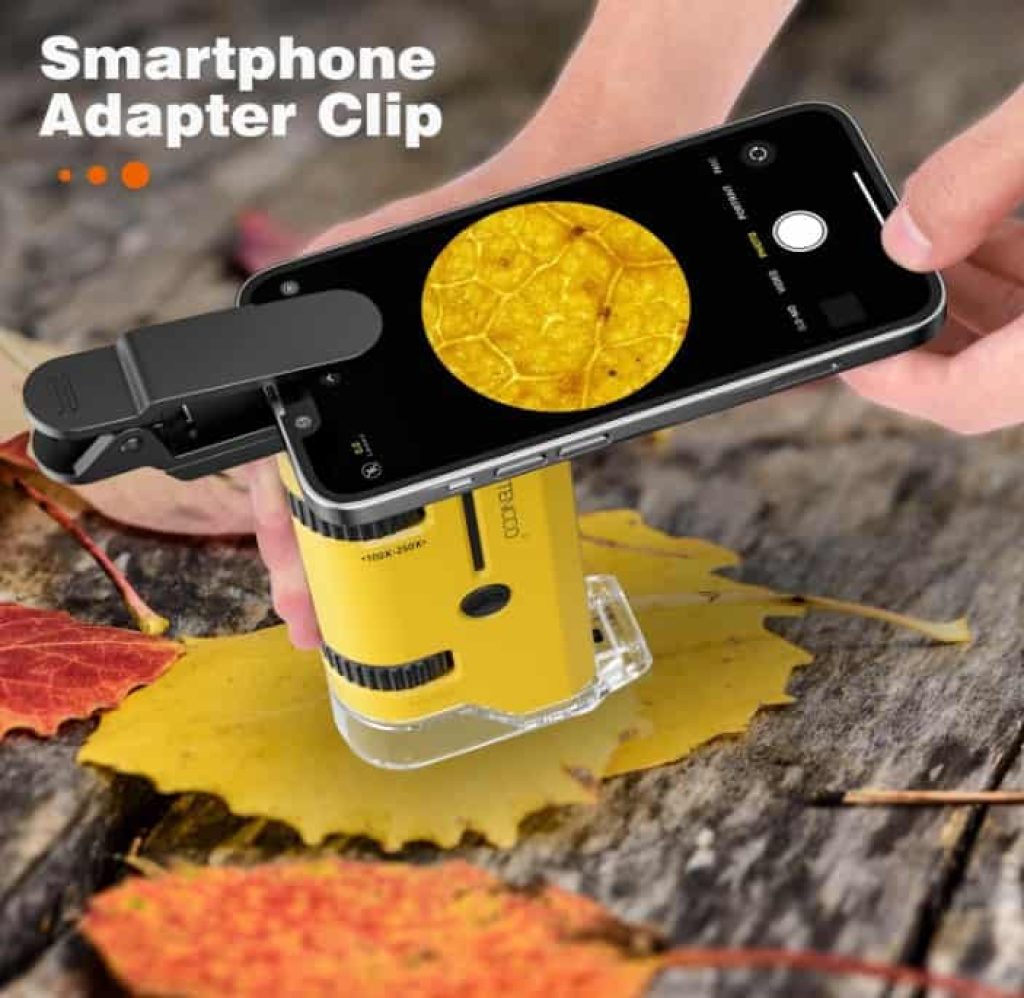 100x-250x Mini Microscopio de Bolsillo para Niños Adultos, Microscopio de Mano Protable con 5 Portaobjetos, Adaptador de Teléfono, Kit de Portátil Miniscope para Niños Adultos Laboratorio, Amarillo