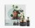 BELLA AURORA – PACK  MAGIC SPLENDOR60 DIA 50ML  + SERUM REAFIRMANTE 30ML  B.AURORA