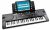 RockJam Piano con teclado de 49 teclas con fuente de alimentación, atril para partituras, pegatinas para notas y lecciones simples.