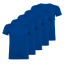 Pack de 5 camisetas básicas Roly tiradas de precio!
