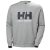 Helly Hansen HH Logo Crew Sudadera