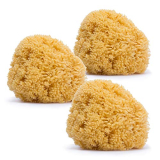 Suavinex, Pack de 3 Esponjas 100% Naturales para Bebés